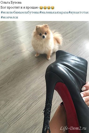 ������ ���������� ����� ������� �� 50 �����. ����